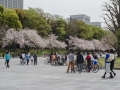 Tokyo - Imperial Garden