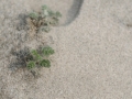 20150215-_DSC3948
