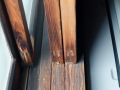 20150225-_DSC4038