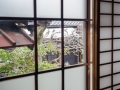 20150225-_DSC4046