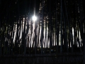 20150227-_DSC4087