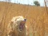 DSCN0341